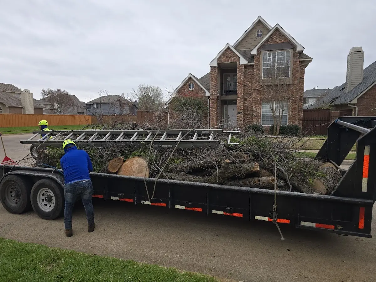Expert Tree Removal with proper safety equipment in Tinley Park